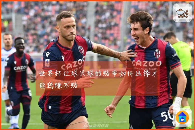 世界杯让球买球的赔率如何选择才能稳赚不赔