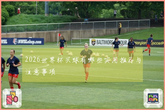 2026世界杯买球有哪些实用推荐与注意事项