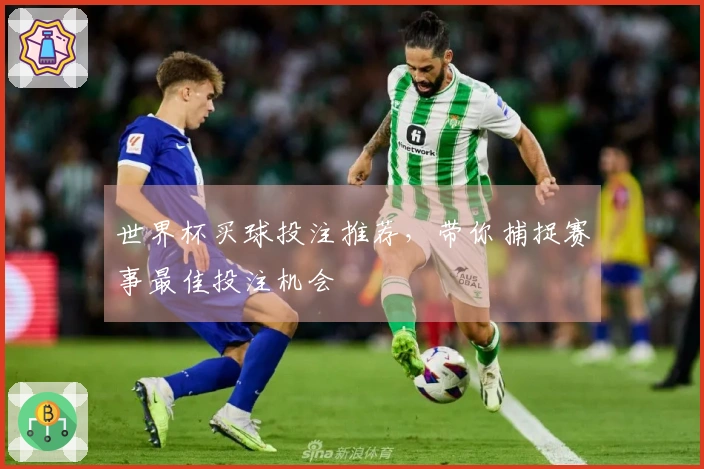 世界杯买球投注推荐，带你捕捉赛事最佳投注机会