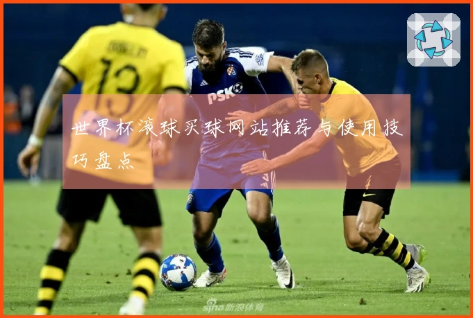 世界杯滚球买球网站推荐与使用技巧盘点