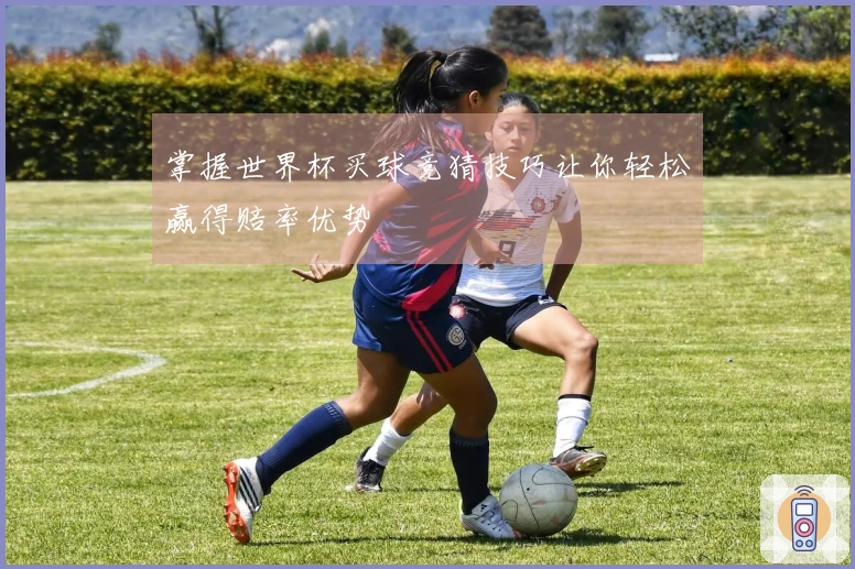 掌握世界杯买球竞猜技巧让你轻松赢得赔率优势