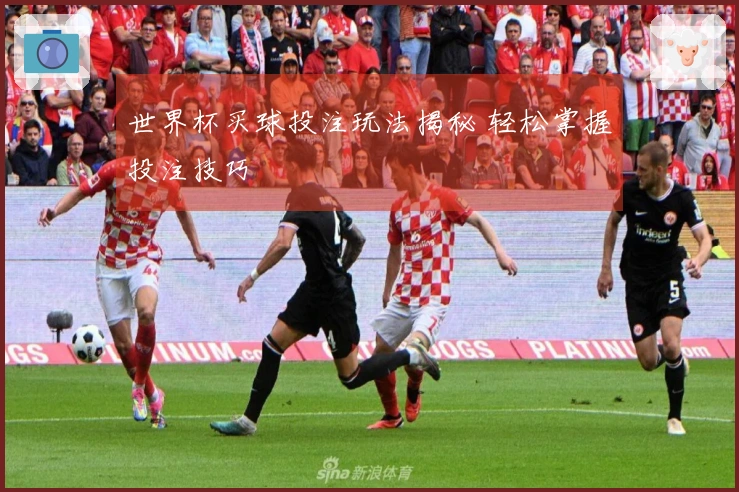 世界杯买球投注玩法揭秘 轻松掌握投注技巧