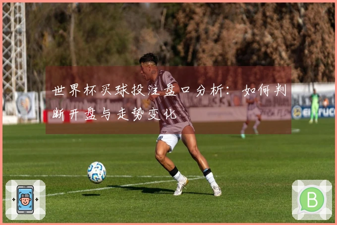 世界杯买球投注盘口分析：如何判断开盘与走势变化