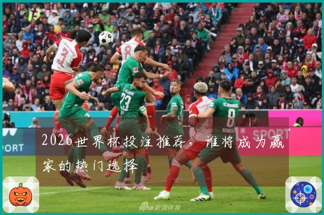 2026世界杯投注推荐，谁将成为赢家的热门选择