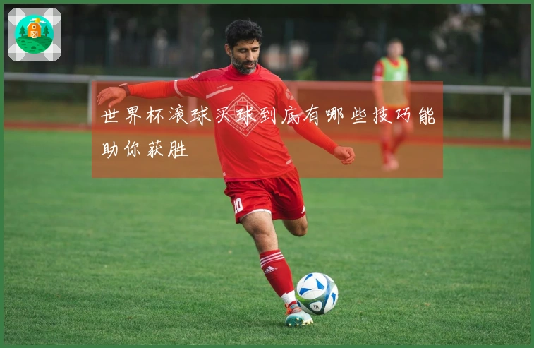 世界杯滚球买球到底有哪些技巧能助你获胜