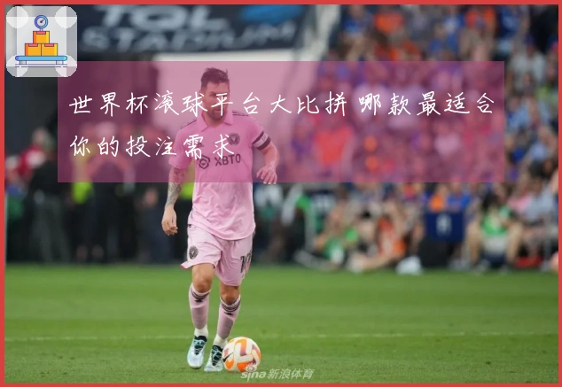 世界杯滚球平台大比拼 哪款最适合你的投注需求