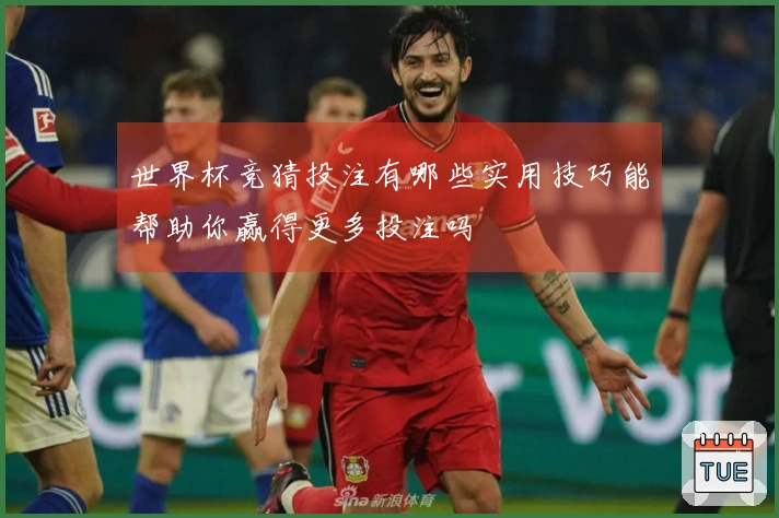 世界杯竞猜投注有哪些实用技巧能帮助你赢得更多投注吗
