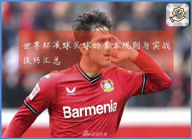 世界杯滚球买球的基本规则与实战技巧汇总