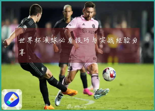 世界杯滚球必看技巧与实战经验分享