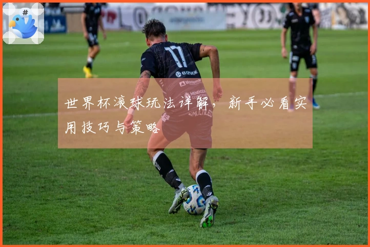 世界杯滚球玩法详解，新手必看实用技巧与策略