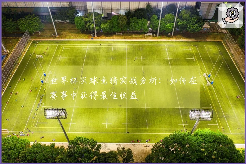 世界杯买球竞猜实战分析：如何在赛事中获得最佳收益