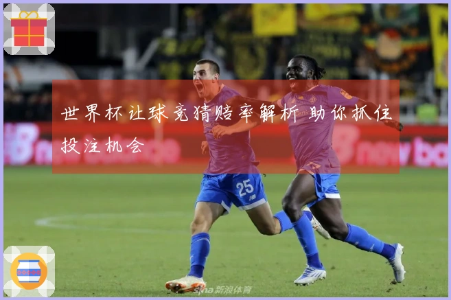 世界杯让球竞猜赔率解析 助你抓住投注机会
