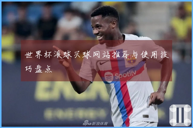 世界杯滚球买球网站推荐与使用技巧盘点