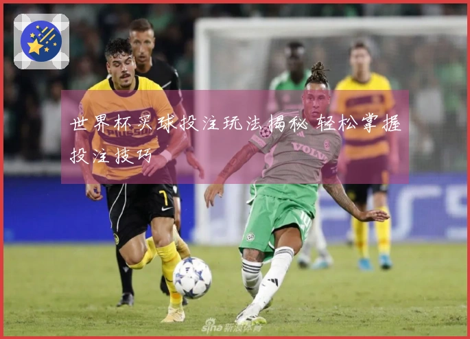 世界杯买球投注玩法揭秘 轻松掌握投注技巧