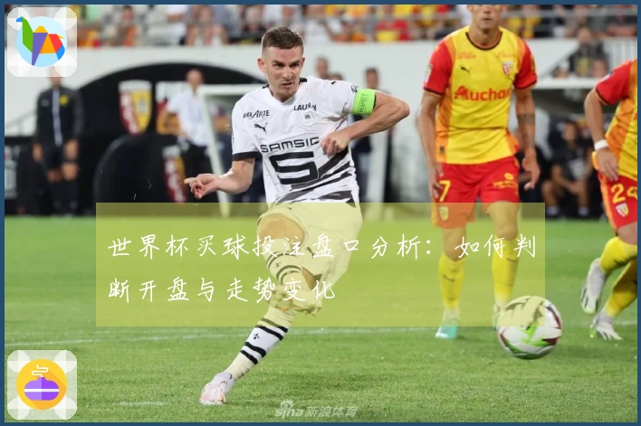 世界杯买球投注盘口分析：如何判断开盘与走势变化