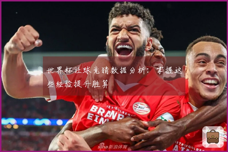 世界杯让球竞猜数据分析：掌握这些经验提升胜算