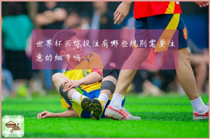 世界杯买球投注有哪些规则需要注意的细节吗