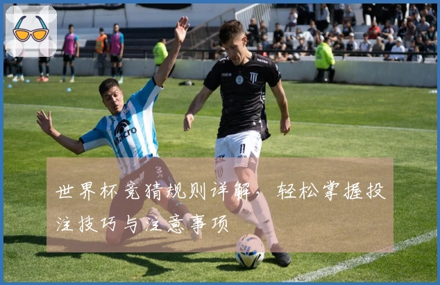 世界杯竞猜规则详解，轻松掌握投注技巧与注意事项
