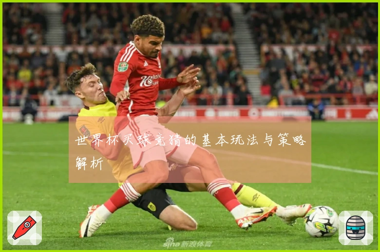 世界杯买球竞猜的基本玩法与策略解析